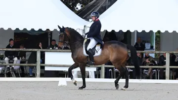 Gilles Siauve et Feneton sont des habitués du Grand National