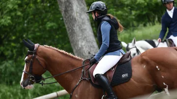 93 % des cavaliers mettent systématiquement leur casque dès qu’ils montent à cheval