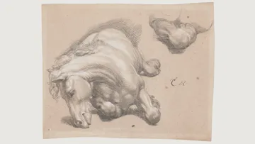 “Cheval couché”, Charles Le Brun, vers 1665-1673.