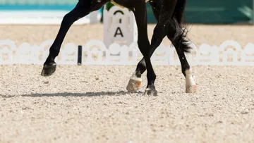 Deux études se sont penchés sur l'influence que peuvent avoir les raccourcis cognitifs sur le jugement des épreuves de dressage