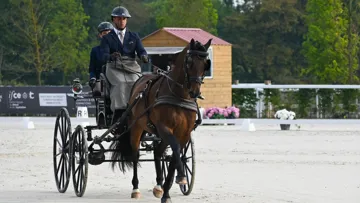 Tony Écalle et Kensington ont décroché l'or par équipes le week-end dernier au Pin-au-Haras, dans l’Orne.