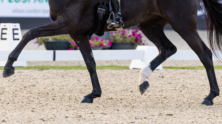 Les acteurs du dressage se sont réunis le 1er octobre au siège de la FEI, à Lausanne
