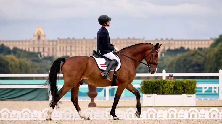 “Nous avons réellement aimé la performance de King of Dance avec le Letton Rihards Snikus, qui nous a pour ainsi dire bluffés”, salue Anne Prain, présidente du jury de para-dressage aux Jeux de Paris 2024.