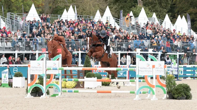 Gemma Stevens et Chilli Morning IV ont une nouvelle fois fait étalage de leur classe au Lion ce dimanche