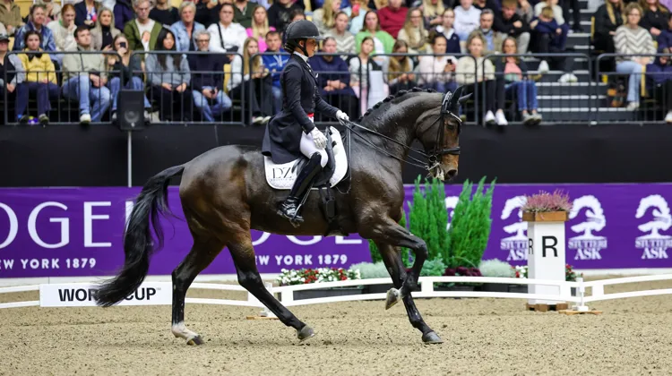 Ici à l’entame de leurs changements de pied au temps, Cathrine Laudrup-Dufour et Freestyle ont gagné à Herning samedi dernier