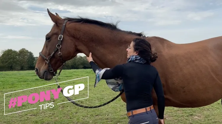 Comment aider un cheval qui tousse à mieux respirer grâce au massage, avec Stéphanie de PonyCorn 