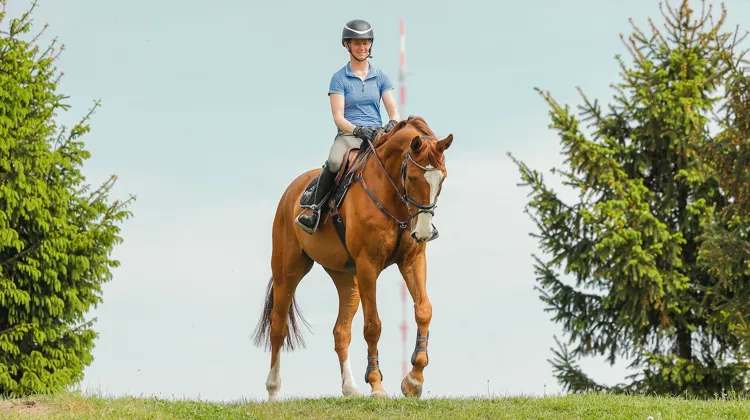 Multi-médaillée en concours complet, l’Allemande Sandra Auffarth fait désormais des prouesses en saut d’obstacles.