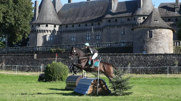 Deuxième du championnat du Cycle libre 1 réservé aux chevaux de cinq ans à Pompadour, mi-septembre, Je Vous Ai Compris a une histoire aussi rare que particulière.