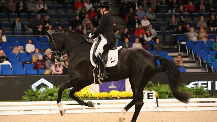 Avec une très belle moyenne de 79,217%, Isabell Werth et Wendy de Fontaine ont remporté la première épreuve du CDI-W de Stuttgart.