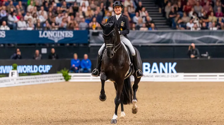 Isabell Werth et Wendy de Fontaine ont remporté la manche stuttgartoise de la Coupe du monde de dressage ce samedi 16 novembre