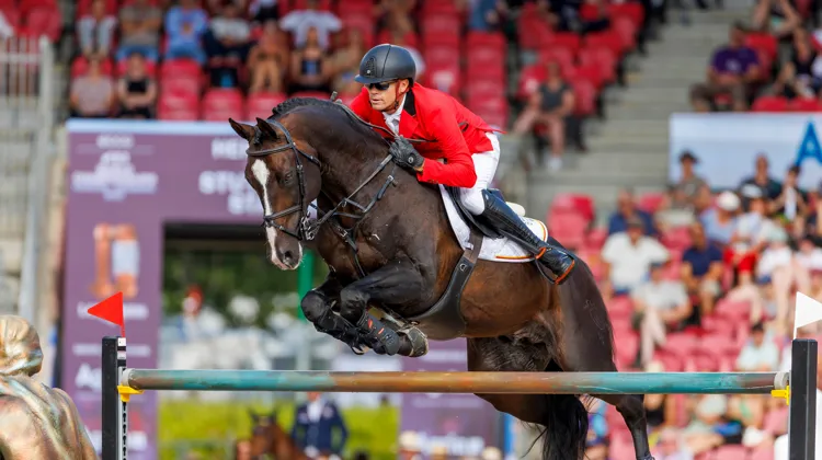 Jérôme Guéry et Quel Homme de Hus ont été sacrés vice-champions du monde à Herning en 2022