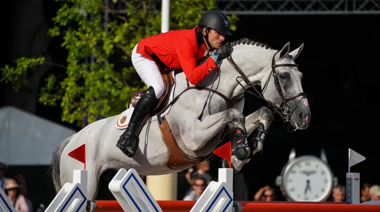 Gregory Wathelet et Nevados S lors des championnats d'Europe de 2019 à Rotterdam.