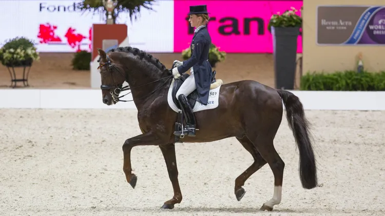 Ici en finale de la Coupe du monde à Lyon, Damon Hill a été l’un des fleurons du dressage mondial au début des années 2010