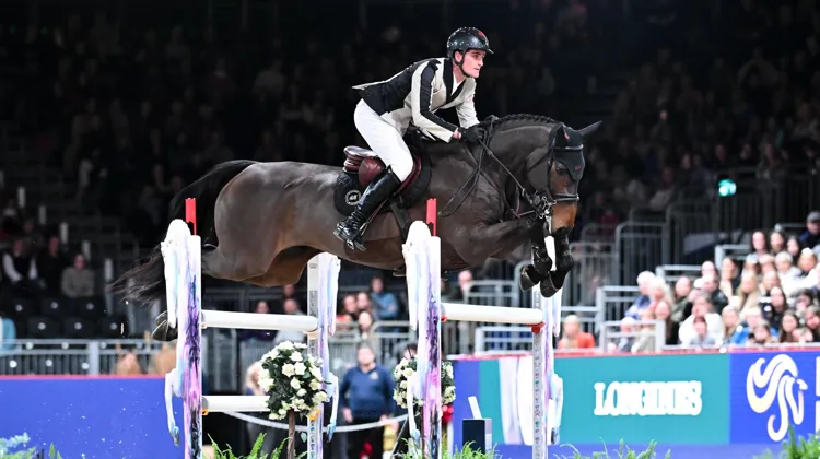 Associé à Cristel pour la première fois depuis près de quatre ans à Londres, Olivier Philippaerts s’est directement imposé avec elle à 1,55m