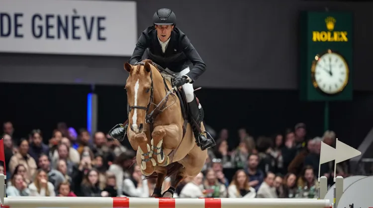 Ici à Genève, le week-end dernier, King Edward ne sautera plus en intérieur cette saison