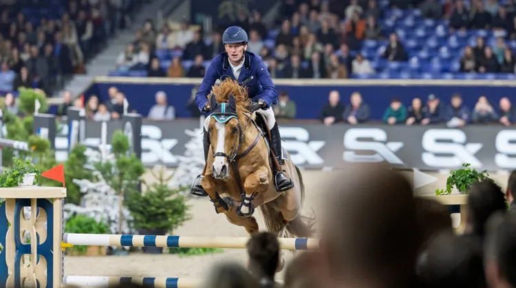 Tobago et Daniel Deusser ont remporté la compétition des “Sires of the World”, ce vendredi à Malines