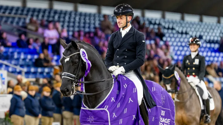Justin Verboomen ont remporté le Grand Prix du CDI-W de Malines en milieu de journée