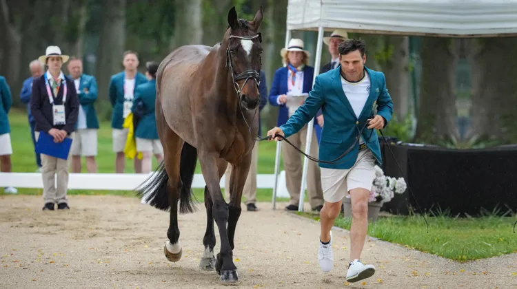 À Versailles, Shane Rose, encore convalescent quelques semaines plus tôt, n’a pas manqué le rendez-vous de l’inspection vétérinaire avec son fidèle Virgil.