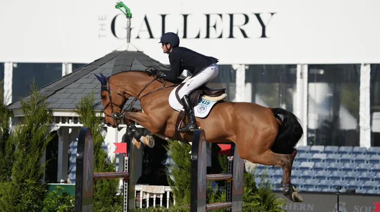 Darragh Kenny et Chaccossini au CSI 3* de Wellington