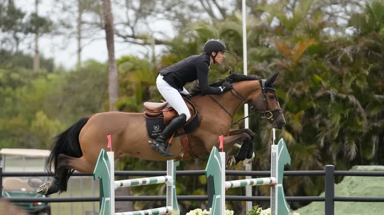 Henrik von Eckermann et Glamour Girl ont gagné dès le départ au Winter Equestrian Festival. 