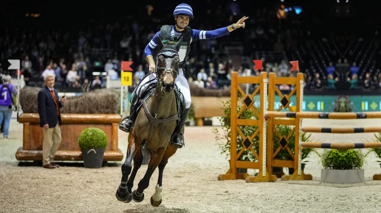 Vendredi prochain, Benjamin Massié défendra son titre avec Cupidon du Cardonne dans le Devoucoux Indoor Derby de Bordeaux.
