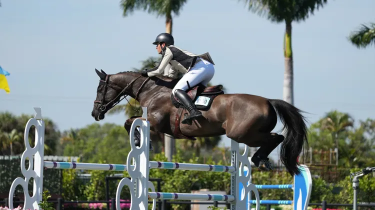 Nicola Philippaerts et Derby de Riverland ont remporté leur deuxième victoire à Wellington. 