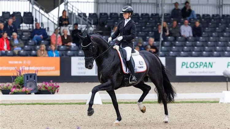 Aux derniers championnats du monde des jeunes chevaux d’Ermelo, Charlotte Fry s’est notamment produite avec Nalegro, dont la mère est une propre soeur de Valegro.