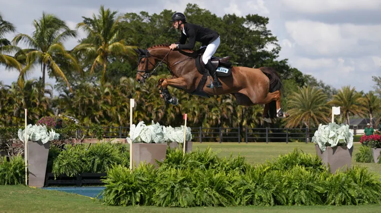 Richard Vogel a mené Cydello à une nouvelle victoire sous les palmiers de Wellington