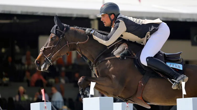 À quinze ans, Katanga van het Dingeshof, la jument de tête de Nicola Philippaerts, n’a rien perdu de sa fougue.