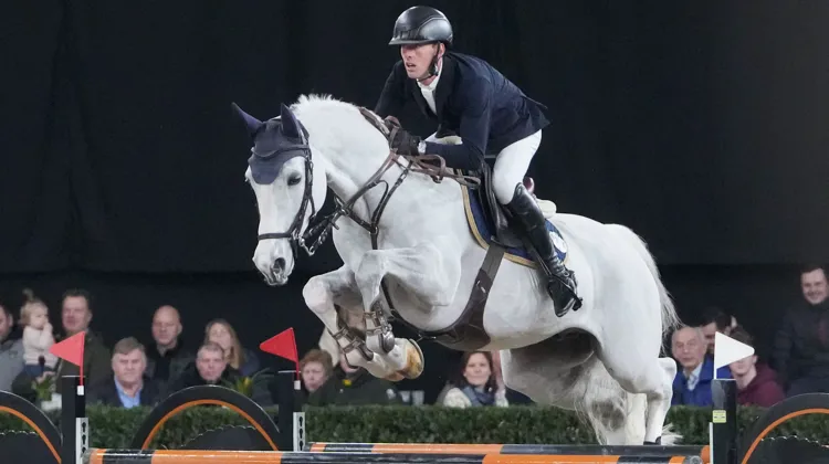 Ici dans le Grand Prix à 1,55m disputé à Opglabbeek dimanche, Jeroen Appelen et Dancing Wolf ont été victorieux à Göteborg ce jeudi