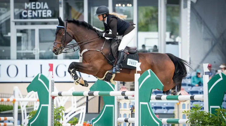 Ashlee Bond et Donatello 141 ont remporté leur septième victoire sur les pistes de Wellington, toutes épreuves confondues, hier soir.