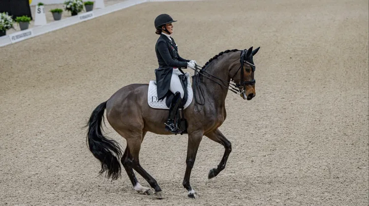 Cathrine Laudrup-Dufour et Freestyle ont brillé dans les airs relevés