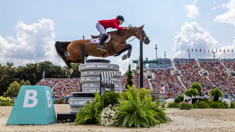 Quatre Selle Français, dont Caracole de la Roque, avec l’Américain Karl Cook, ont été médaillés en jumping aux JO de Paris.
