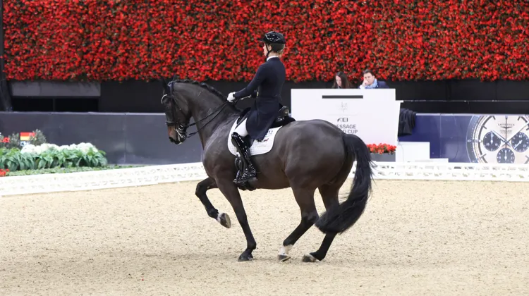 À Bâle comme lors de toutes les compétitions majeures, le degré de difficulté des reprises libres sera calculé de manière automatique