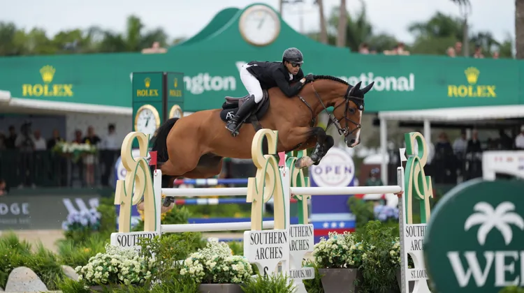 Abdel Saïd a mené Calvaro à la victoire, hier à Wellington