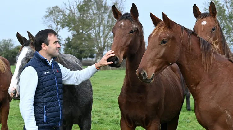 Olivier Perreau valorise avec succès l’héritage familial. Outre son siège de Vougy, l’élevage d’Aiguilly s’étend aussi sur cent dix hectares situés à Iguerande, village frontalier de la Loire, en… Saône-et-Loire.