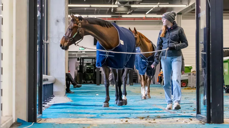 Les grooms vivent souvent de très longues journées de travail, notamment durant la saison indoor.