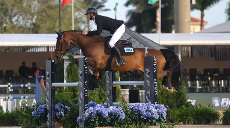 Sous la selle de Richard Vogel,  Phenyo van het Keysersbos a remporté sa première épreuve à 1,50m, ce samedi à Abou Dabi