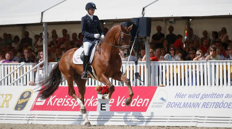 Brutalement disparu en 2017, Don Juan de Hus, ici sous la selle de Jessica Michel-Botton aux championnats du monde Jeunes Chevaux, était promis à une magnifique carrière sportive.