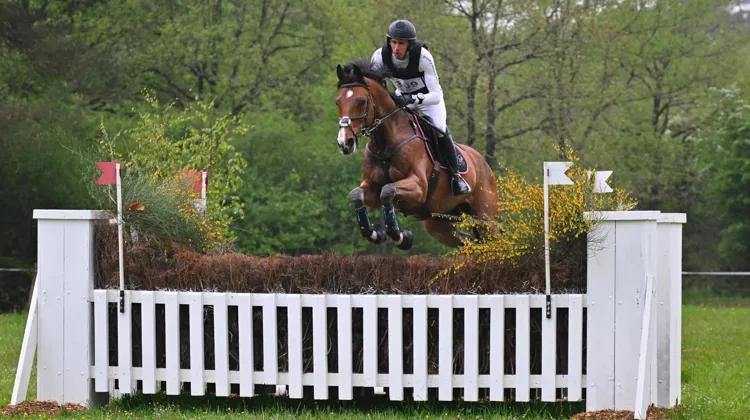 Stéphane Landois a mené Fibonacci de Lessac*HDC à la victoire à Saumur