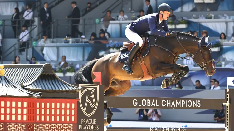 Dans l'épreuve cotée à 1,55m, c'est Daniel Deusser qui s'est imposé aux rênes d'Otello de Guldenboom.