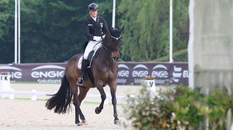 Frederic Wandres et Bluetooth ont remporté haut la main le Grand Prix du CDIO 5* de Compiègne