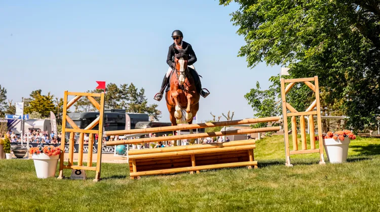Xavier Hazebroucq a gagné ce Derby en selle sur Pertini van de Axelhoeve.