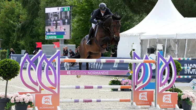 Julien Épaillard et Donatello d’Auge se sont imposés pour la seconde fois de la semaine à Equi-Normandie