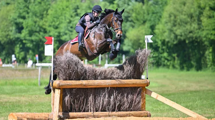 Alizée Bourguet et César des Hauts Crêts ont dominé le championnat de France Jeunes Cavaliers de bout au Lion-d’Angers.