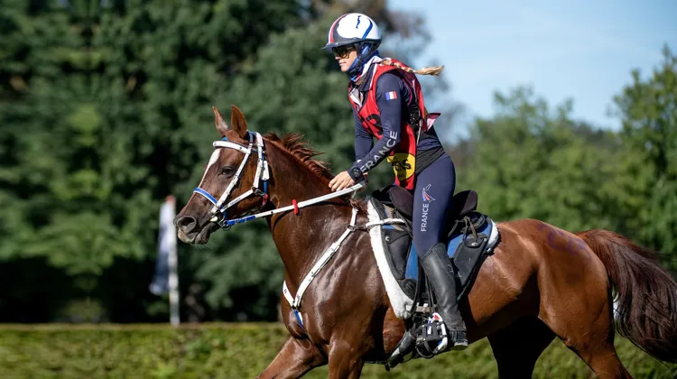 Virginie Atger et Raya de Jalima aux championnats d’Europe d’Ermelo en 2023.