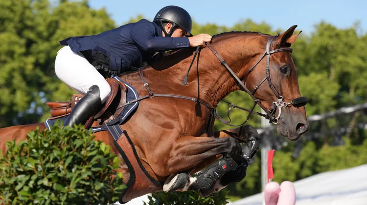 Gregory Wathelet et Bond JamesBond de Hay ont remporté la compétition majeure du jour à Londres