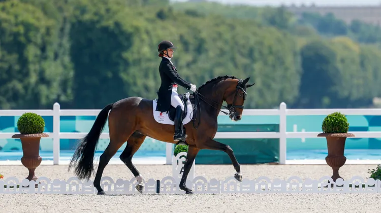 Ici à Versailles l’an passé, Cathrine Laudrup-Dufour et Mount St. John Freestyle font partie des très grandes favorites aux titres individuels à Crozet
