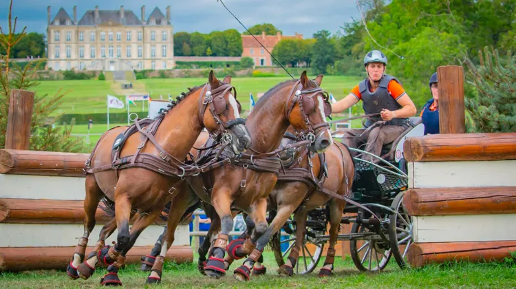 Le public verra à l’œuvre des attelages à un, deux et quatre poneys.