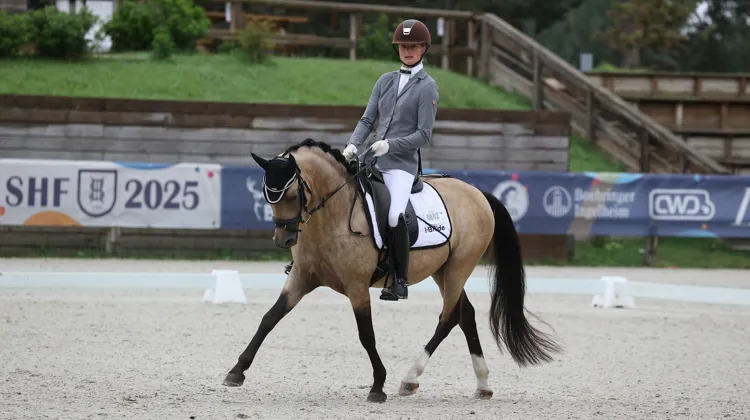 De Bellini, aux rênes d’Eva Grangeat, a dominé le championnat des poneys de quatre ans.